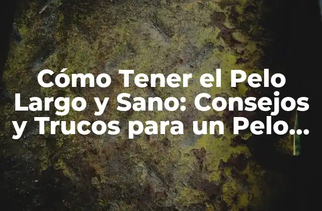 Cómo Tener el Pelo Largo y Sano: Consejos y Trucos para un Pelo Hermoso