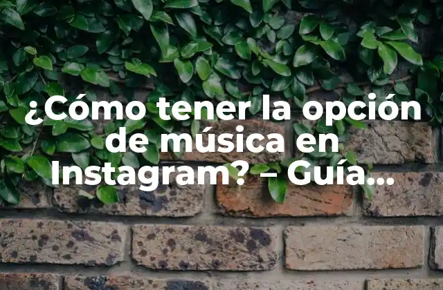 ¿cómo Tener la Opción de Música en Instagram? – Guía Completa
