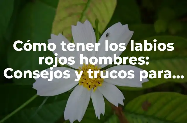 Cómo Tener los Labios Rojos Hombres: Consejos y Trucos para Lograr el Look Perfecto