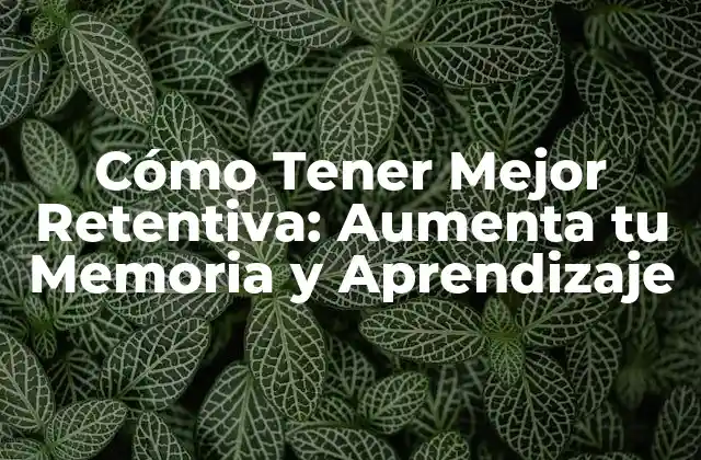 Cómo Tener Mejor Retentiva: Aumenta Tu Memoria y Aprendizaje