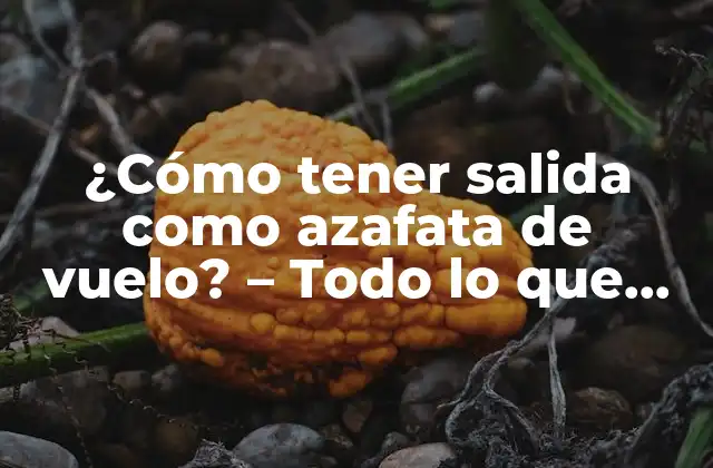 ¿cómo Tener Salida como Azafata de Vuelo? – Todo Lo que Debes Saber