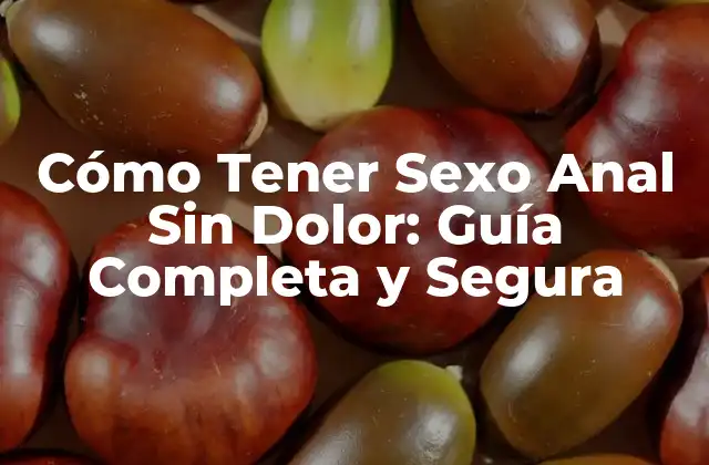 Cómo Tener Sexo Anal sin Dolor: Guía Completa y Segura