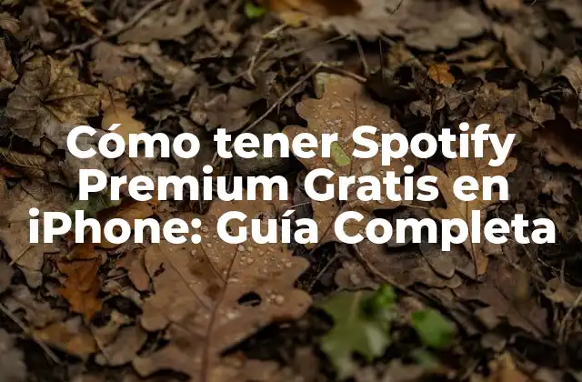 Cómo Tener Spotify Premium Gratis en Iphone: Guía Completa
