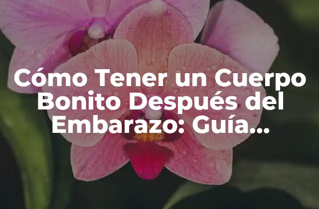Cómo Tener un Cuerpo Bonito Después Del Embarazo: Guía Completa