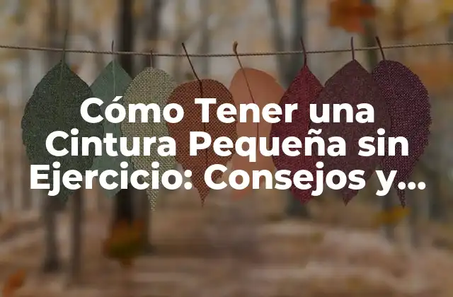 Cómo Tener una Cintura Pequeña sin Ejercicio: Consejos y Trucos Prácticos