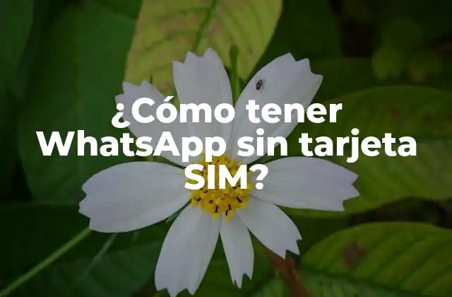 ¿cómo Tener Whatsapp sin Tarjeta Sim?