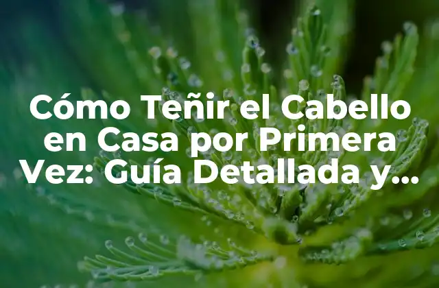 Cómo Teñir el Cabello en Casa por Primera Vez: Guía Detallada y Segura