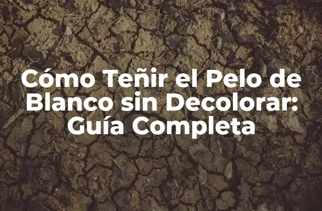 Cómo Teñir el Pelo de Blanco sin Decolorar: Guía Completa