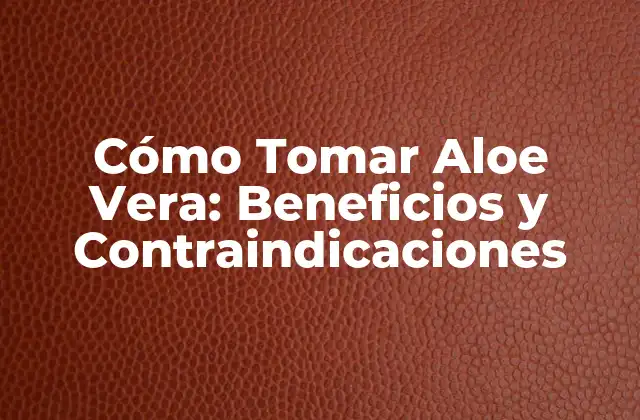 Cómo Tomar Aloe Vera: Beneficios y Contraindicaciones