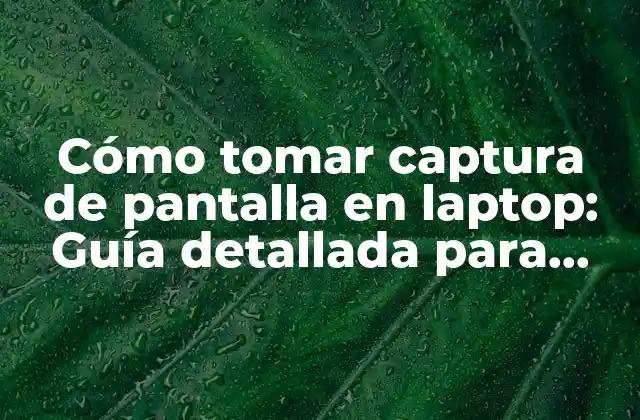 Cómo Tomar Captura de Pantalla en Laptop: Guía Detallada para Diferentes Sistemas Operativos