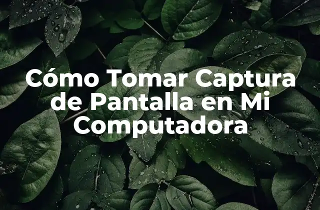 Cómo Tomar Captura de Pantalla en Mi Computadora