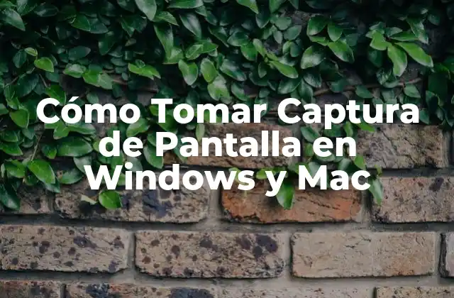Cómo Tomar Captura de Pantalla en Windows y Mac