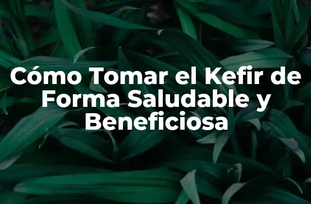 Cómo Tomar el Kefir de Forma Saludable y Beneficiosa