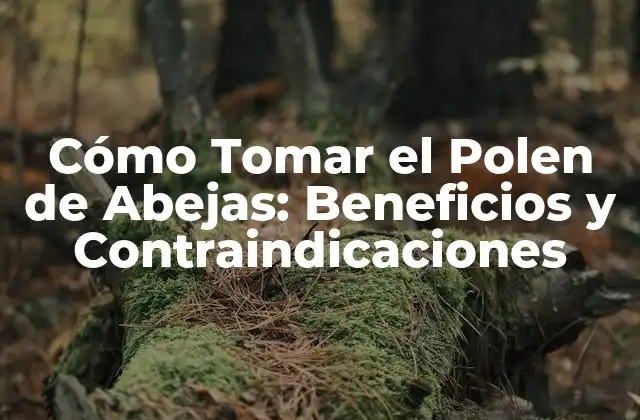 Cómo Tomar el Polen de Abejas: Beneficios y Contraindicaciones