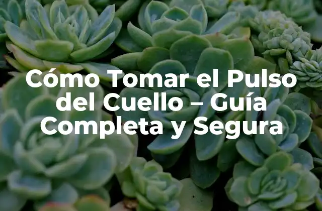Cómo Tomar el Pulso Del Cuello – Guía Completa y Segura