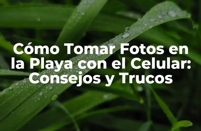Cómo Tomar Fotos en la Playa con el Celular: Consejos y Trucos