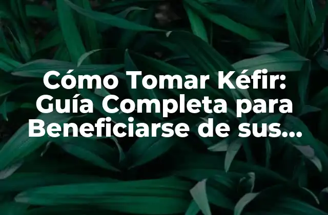 Cómo Tomar Kéfir: Guía Completa para Beneficiarse de Sus Propiedades