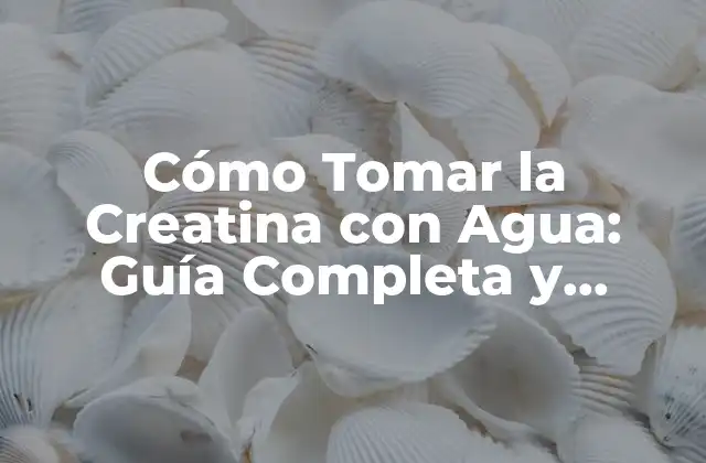 Cómo Tomar la Creatina con Agua: Guía Completa y Detallada