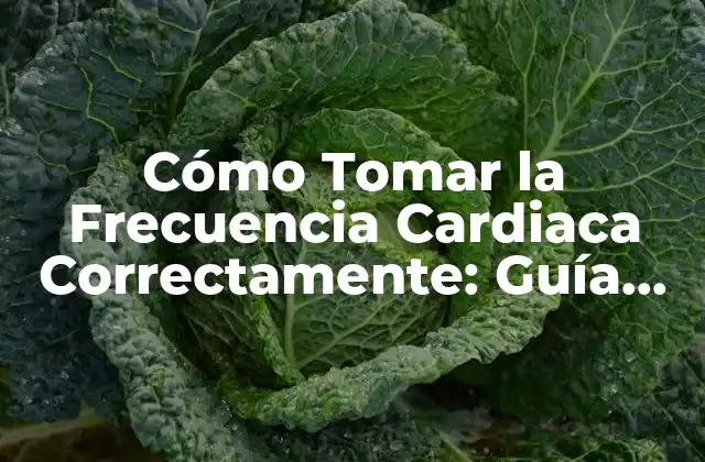 Cómo Tomar la Frecuencia Cardiaca Correctamente: Guía Detallada