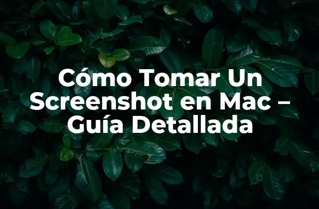 Cómo Tomar un Screenshot en Mac – Guía Detallada