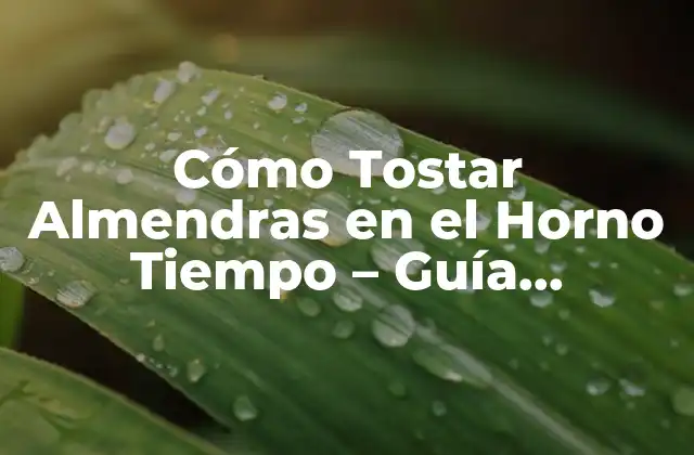 Cómo Tostar Almendras en el Horno Tiempo – Guía Completa