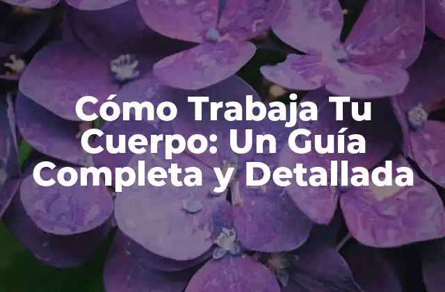Cómo Trabaja Tu Cuerpo: un Guía Completa y Detallada