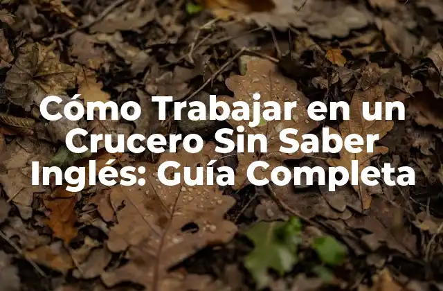 Cómo Trabajar en un Crucero sin Saber Inglés: Guía Completa