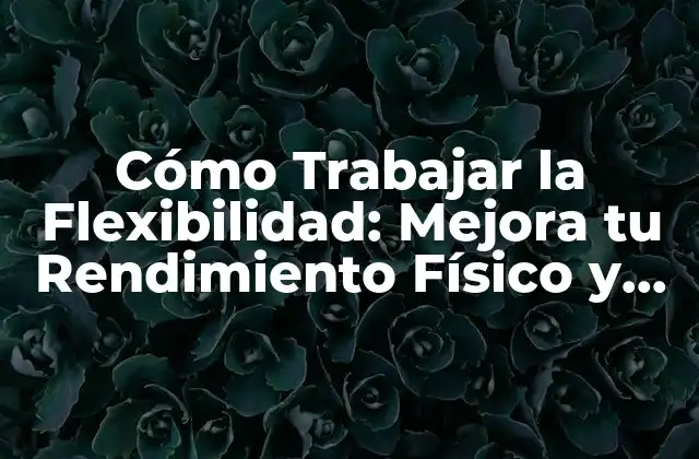 Cómo Trabajar la Flexibilidad: Mejora Tu Rendimiento Físico y Mental 2 ¿Qué es la Flexibilidad y Cómo se Mide?