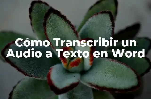 Cómo Transcribir un Audio a Texto en Word