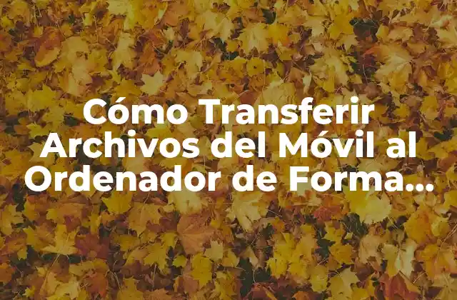 Cómo Transferir Archivos Del Móvil Al Ordenador de Forma Rápida y Segura