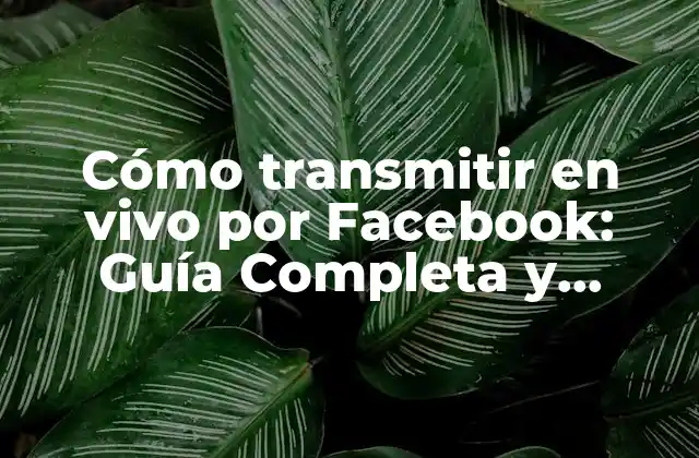 Cómo Transmitir en Vivo por Facebook: Guía Completa y Actualizada