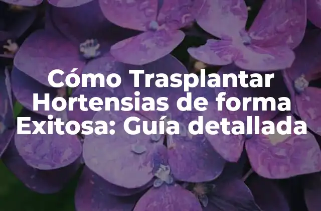Cómo Trasplantar Hortensias de Forma Exitosa: Guía Detallada 2 ¿Por qué Debes Trasplantar Hortensias?