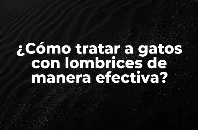 ¿cómo Tratar a Gatos con Lombrices de Manera Efectiva?