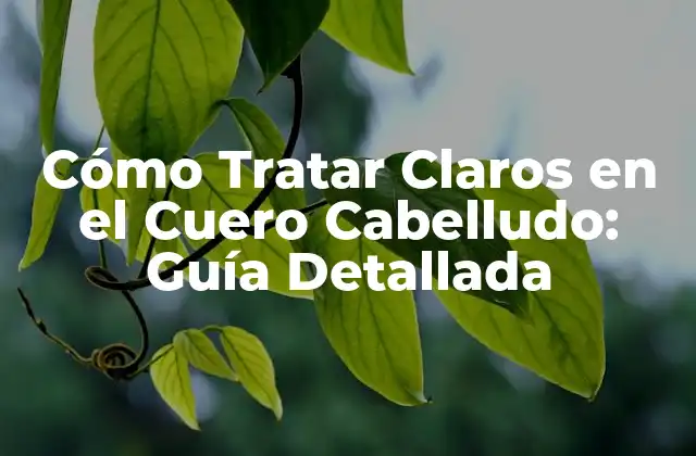 Cómo Tratar Claros en el Cuero Cabelludo: Guía Detallada