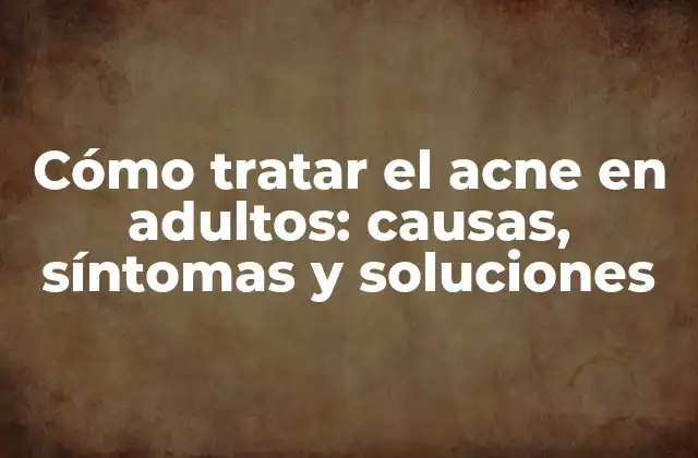 Cómo Tratar el Acne en Adultos: Causas, Síntomas y Soluciones 2 Causas del acne en adultos