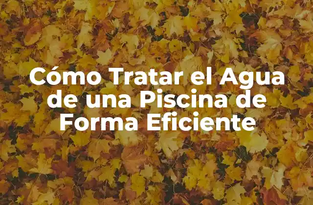 Cómo Tratar el Agua de una Piscina de Forma Eficiente