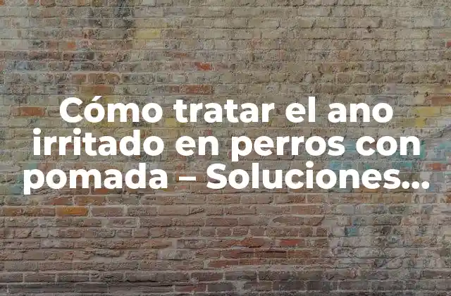 Cómo Tratar el Ano Irritado en Perros con Pomada – Soluciones Efectivas