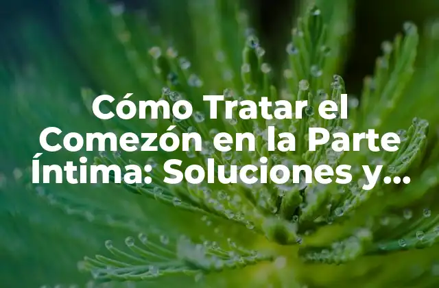 Cómo Tratar el Comezón en la Parte Íntima: Soluciones y Remedios Naturales