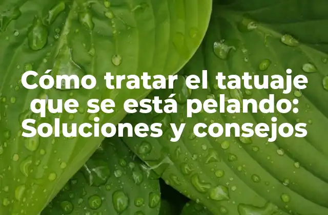 Cómo Tratar el Tatuaje que Se Está Pelando: Soluciones y Consejos
