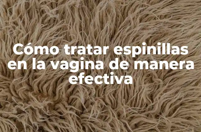 Cómo Tratar Espinillas en la Vagina de Manera Efectiva