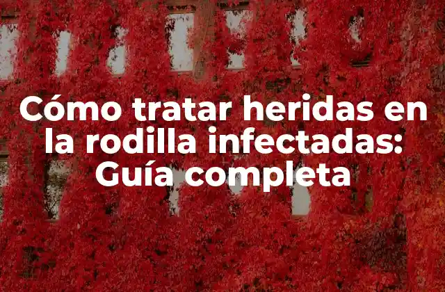 Cómo Tratar Heridas en la Rodilla Infectadas: Guía Completa