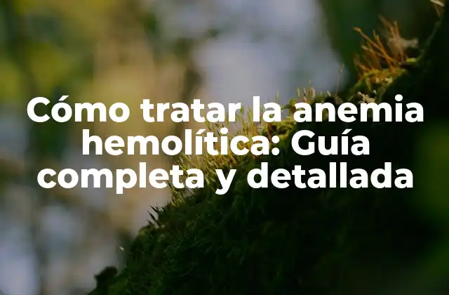 Cómo Tratar la Anemia Hemolítica: Guía Completa y Detallada