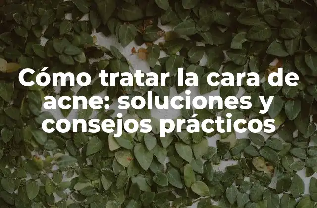 Cómo Tratar la Cara de Acne: Soluciones y Consejos Prácticos 2 ¿Cuáles son las causas de la cara de acne?