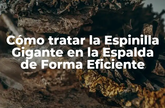 Cómo Tratar la Espinilla Gigante en la Espalda de Forma Eficiente