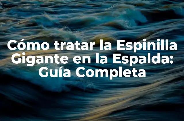 Cómo Tratar la Espinilla Gigante en la Espalda: Guía Completa