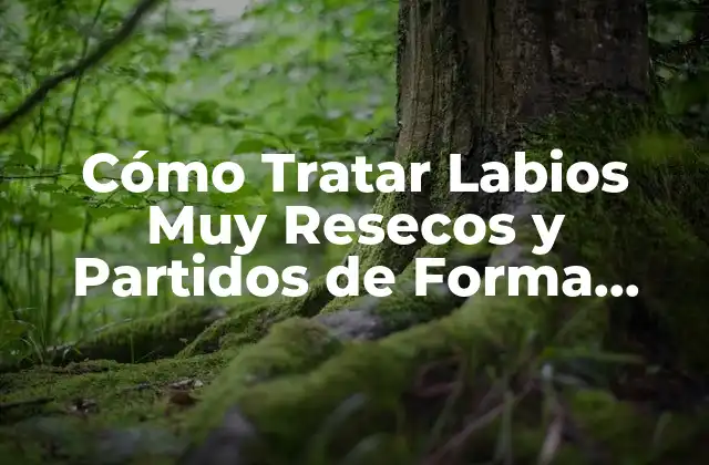 Cómo Tratar Labios Muy Resecos y Partidos de Forma Efectiva