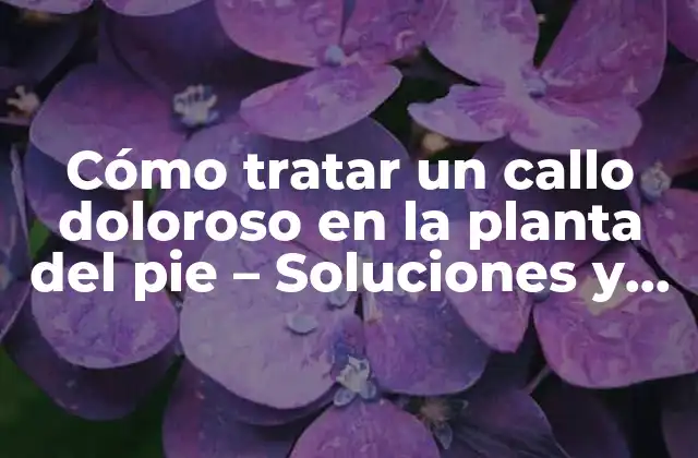 Cómo Tratar un Callo Doloroso en la Planta Del Pie – Soluciones y Consejos