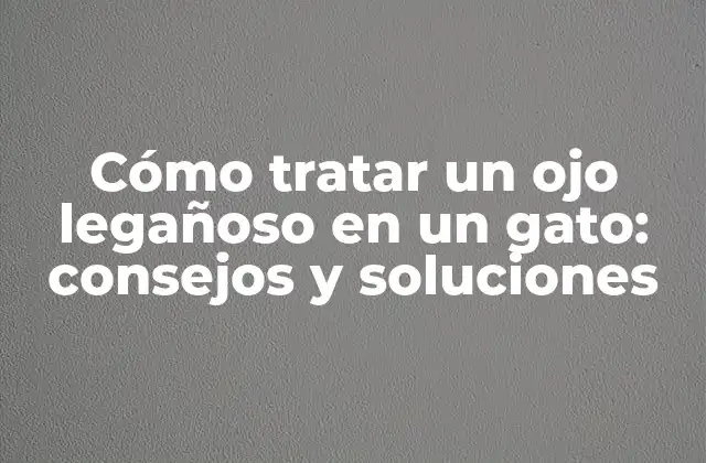 Cómo Tratar un Ojo Legañoso en un Gato: Consejos y Soluciones