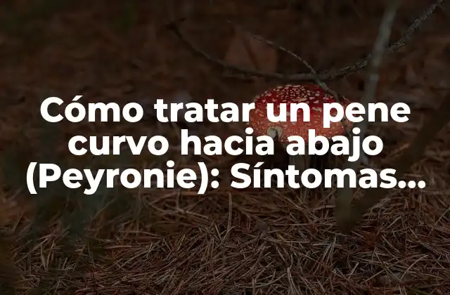 Cómo Tratar un Pene Curvo hacia Abajo (peyronie): Síntomas, Causas y Tratamientos