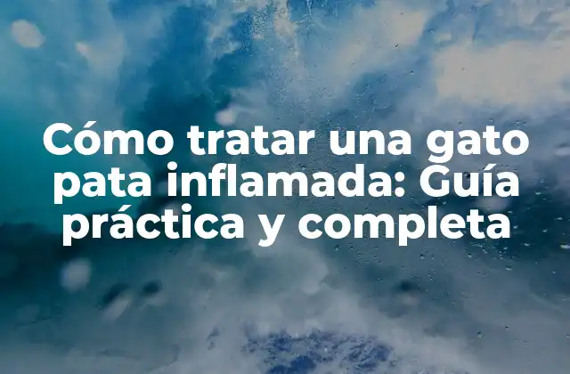 Causas de la gato pata inflamada